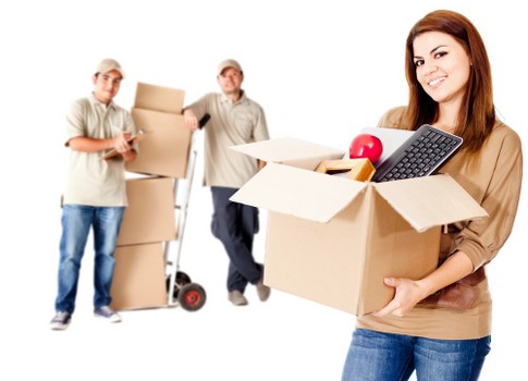 Flexible man with van delivery service across Germany