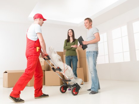Organised moving process with labelled boxes and furniture protection in Germany